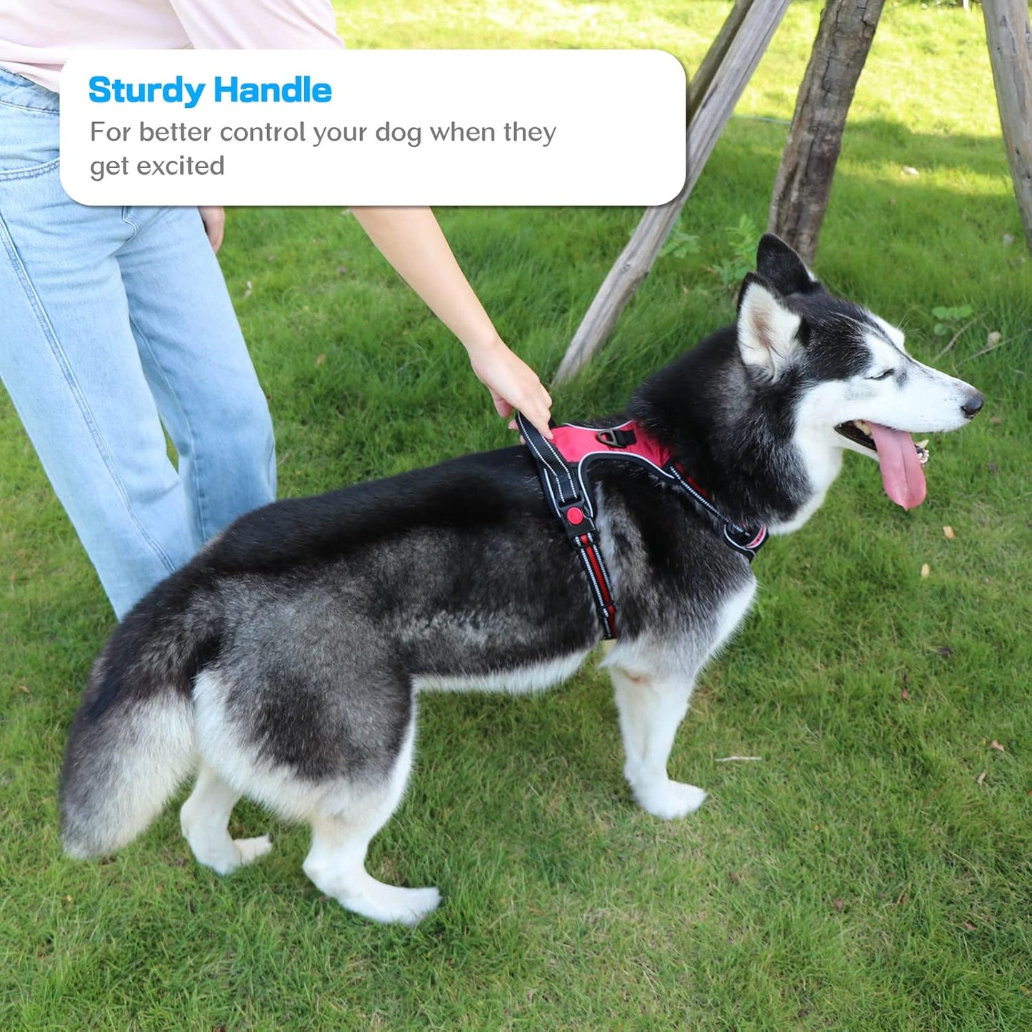 No Pull Dog Harness, Adjustable Soft Padded Dog Vest, Medium Large Dog Harness with 5FT Dog Leash,Reflective No-Choke Pet Oxford Vest with Easy Control Handle Black